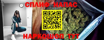 прущие грибы Пенза