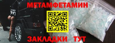 прущие грибы Пенза