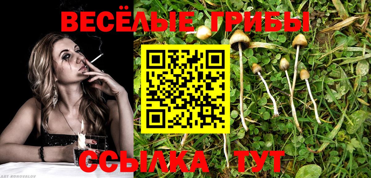 Псилоцибиновые грибы прущие грибы Отрадное