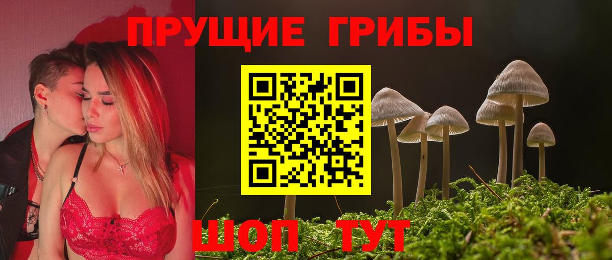 Галлюциногенные грибы прущие грибы  Вход с VPN  Отрадное 